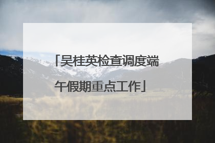 吴桂英检查调度端午假期重点工作