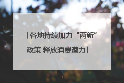 各地持续加力“两新”政策 释放消费潜力
