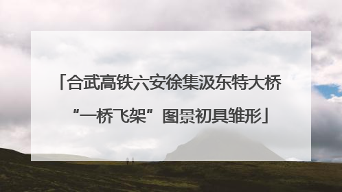 合武高铁六安徐集汲东特大桥“一桥飞架”图景初具雏形