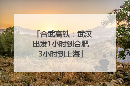 合武高铁：武汉出发1小时到合肥3小时到上海