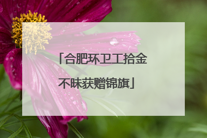 合肥环卫工拾金不昧获赠锦旗