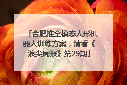 合肥推全模态人形机器人训练方案，请看《浪尖周报》第29期