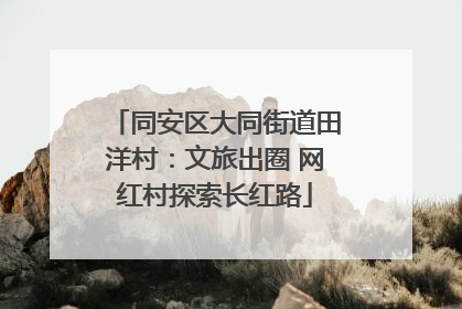 同安区大同街道田洋村：文旅出圈 网红村探索长红路