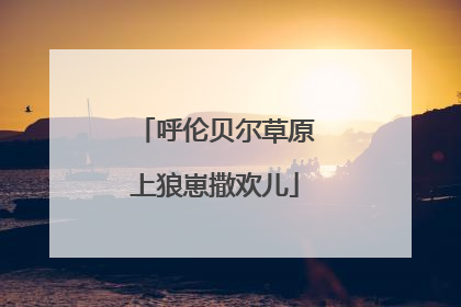 呼伦贝尔草原上狼崽撒欢儿