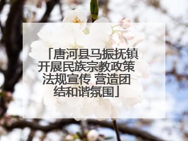 唐河县马振抚镇开展民族宗教政策法规宣传 营造团结和谐氛围