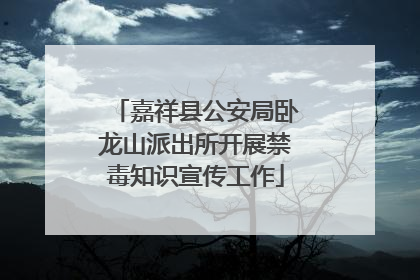 嘉祥县公安局卧龙山派出所开展禁毒知识宣传工作