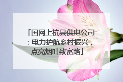 国网上杭县供电公司：电力护航乡村振兴，点亮烟叶致富路