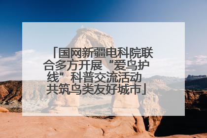 国网新疆电科院联合多方开展“爱鸟护线”科普交流活动 共筑鸟类友好城市