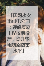国网永安市供电公司：迎峰度夏工程按期投产，提升输电线路防雷水平