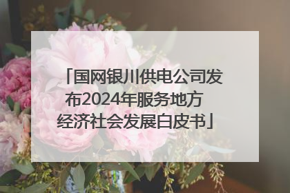 国网银川供电公司发布2024年服务地方经济社会发展白皮书