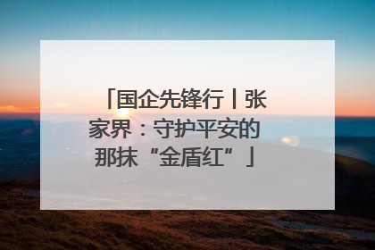 国企先锋行丨张家界：守护平安的那抹“金盾红”