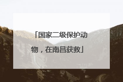 国家二级保护动物，在南昌获救