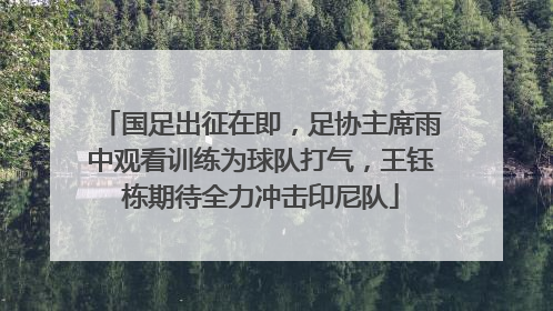 国足出征在即，足协主席雨中观看训练为球队打气，王钰栋期待全力冲击印尼队