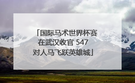 国际马术世界杯赛在武汉收官 547对人马飞跃英雄城