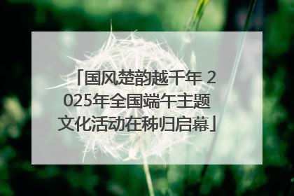 国风楚韵越千年 2025年全国端午主题文化活动在秭归启幕