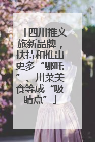四川推文旅新品牌，扶持和推出更多“哪吒”、川菜美食等成“吸睛点”
