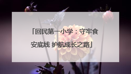 回民第一小学：守牢食安底线 护航成长之路