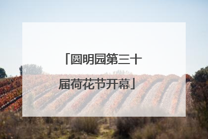 圆明园第三十届荷花节开幕