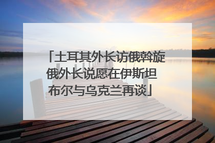 土耳其外长访俄斡旋 俄外长说愿在伊斯坦布尔与乌克兰再谈
