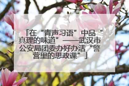 在“青声习语”中品“真理的味道”——武汉市公安局团委办好办活“警营里的思政课”