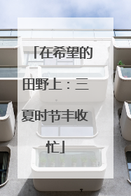 在希望的田野上：三夏时节丰收忙