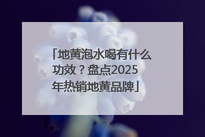 地黄泡水喝有什么功效？盘点2025年热销地黄品牌