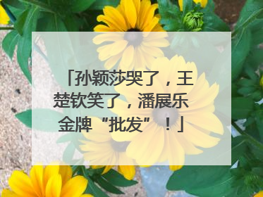 孙颖莎哭了，王楚钦笑了，潘展乐金牌“批发”！