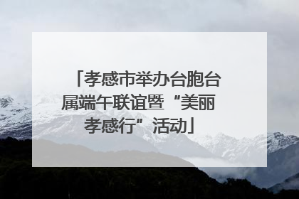 孝感市举办台胞台属端午联谊暨“美丽孝感行”活动