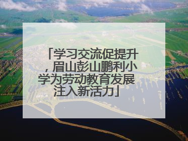 学习交流促提升，眉山彭山鹏利小学为劳动教育发展注入新活力