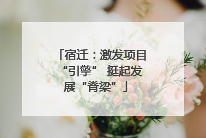 宿迁：激发项目“引擎” 挺起发展“脊梁”