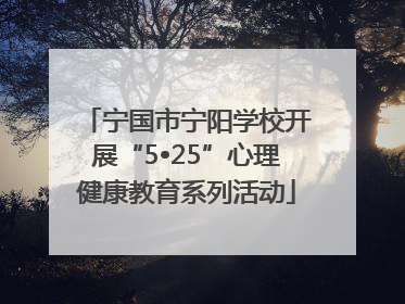 宁国市宁阳学校开展“5•25”心理健康教育系列活动