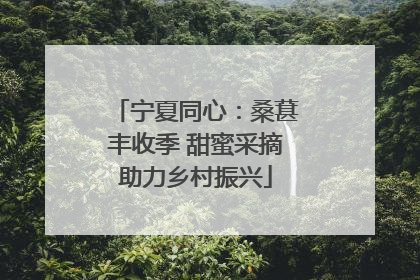 宁夏同心：桑葚丰收季 甜蜜采摘助力乡村振兴