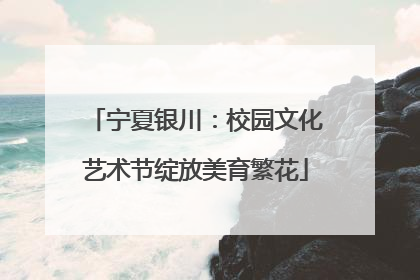 宁夏银川：校园文化艺术节绽放美育繁花