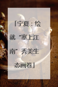 宁夏：绘就“塞上江南”秀美生态画卷