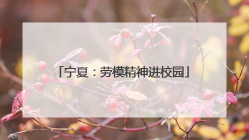 宁夏：劳模精神进校园