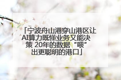 宁波舟山港穿山港区让AI算力既懂业务又能决策 20年的数据“喂”出更聪明的港口
