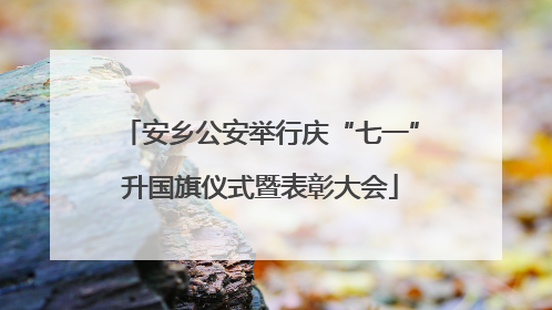 安乡公安举行庆“七一”升国旗仪式暨表彰大会