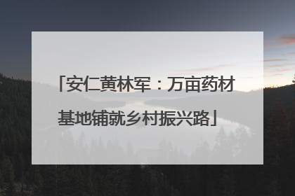 安仁黄林军：万亩药材基地铺就乡村振兴路