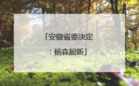 安徽省委决定：杨森履新