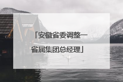安徽省委调整一省属集团总经理