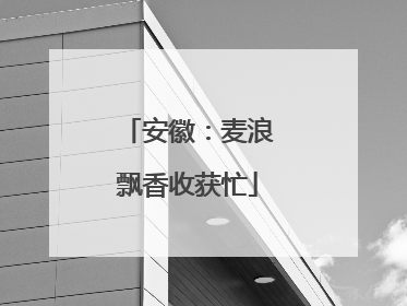 安徽：麦浪飘香收获忙