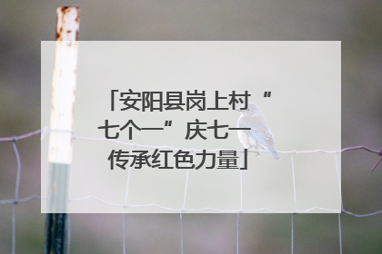 安阳县岗上村“七个一”庆七一 传承红色力量