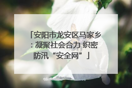安阳市龙安区马家乡：凝聚社会合力 织密防汛“安全网”