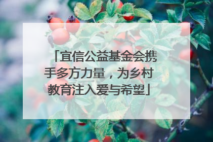宜信公益基金会携手多方力量，为乡村教育注入爱与希望