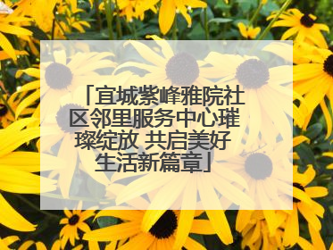 宜城紫峰雅院社区邻里服务中心璀璨绽放 共启美好生活新篇章