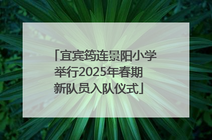 宜宾筠连景阳小学举行2025年春期新队员入队仪式