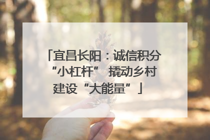 宜昌长阳：诚信积分“小杠杆” 撬动乡村建设“大能量”