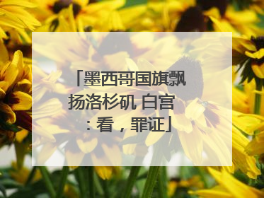 墨西哥国旗飘扬洛杉矶 白宫：看，罪证