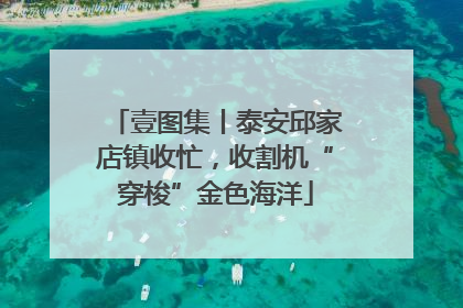 壹图集丨泰安邱家店镇收忙，收割机“穿梭”金色海洋