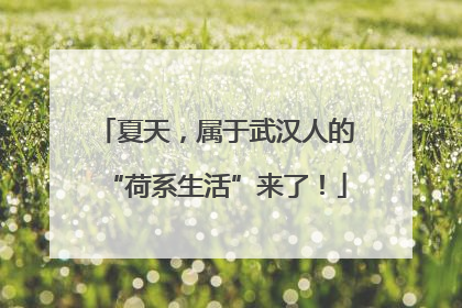 夏天，属于武汉人的“荷系生活”来了！